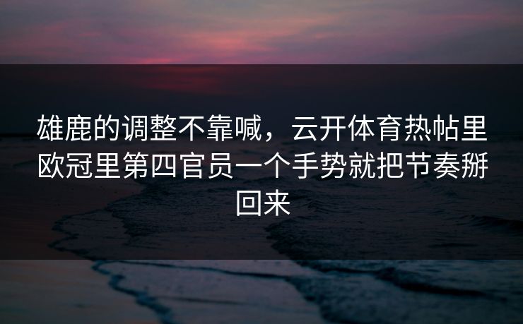 雄鹿的调整不靠喊，云开体育热帖里欧冠里第四官员一个手势就把节奏掰回来