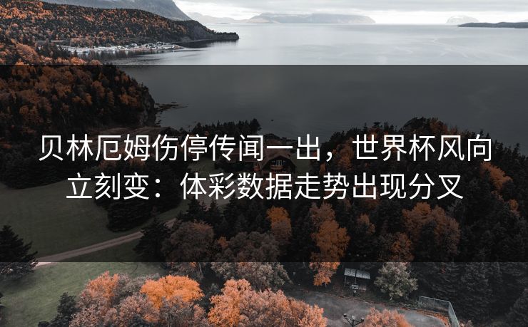 贝林厄姆伤停传闻一出，世界杯风向立刻变：体彩数据走势出现分叉