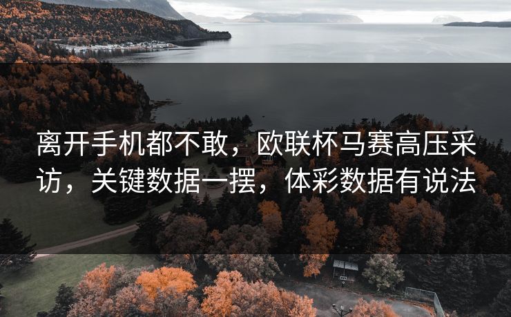 离开手机都不敢，欧联杯马赛高压采访，关键数据一摆，体彩数据有说法